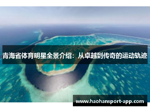青海省体育明星全景介绍：从卓越到传奇的运动轨迹